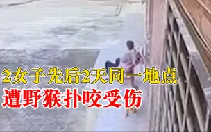 2女子先后2天在家被野猴咬伤：在医院打疫苗缝针，不敢回去住