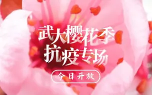 武大樱花季抗疫专场 今日开放