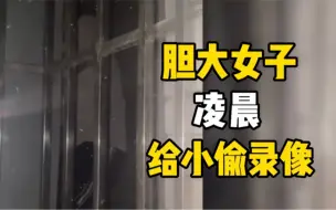 小偷攀爬护栏骗业主是取钥匙，胆大女子假装帮其照亮其实拍下视频证据