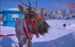 当海洋遇上冰雪