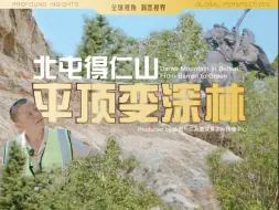 平顶变深林