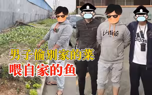 男子偷别家菜喂自家鱼，先后多次共盗蔬菜百余斤