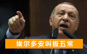 土耳其总统公开挑战五常地位，俄方罕见表态：赞同他的说法