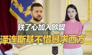 泽连斯基豁出去了，当着13个西方国家的面，恳求欧盟接纳乌克兰