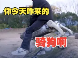 起猛了？看见人骑狗出门了！还是机器狗！
