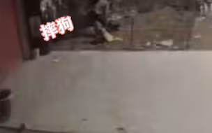 #男子凶残摔狗三下致死 有气也不能摔狗啊！狗犯了什么错？