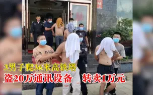 3男子爬36米高塔偷通讯设备：价值20多万，卖了1万余元