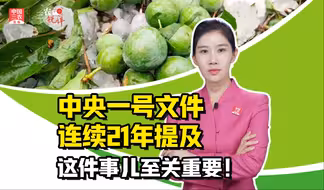 三农锐评丨中央一号文件连续21年提及，这件事儿至关重要！