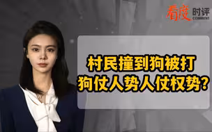 村民撞到狗被打   狗仗人势人仗权势？