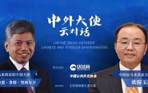 中马大使“云对话”：在对全人类至关重要的问题上，中国正发挥合法领导作用