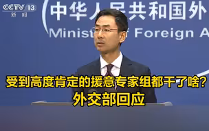 受到高度肯定的援意专家组都干了啥？外交部回应