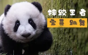 作为宝宝，谁还不是摔大的了？