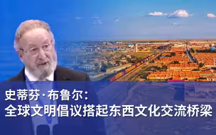 史蒂芬·布鲁尔：全球文明倡议搭起东西文化交流桥梁