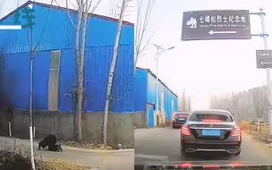 婚车经过烈士爷爷墓地  新婚军人下车行跪拜之礼 现场令人动容！