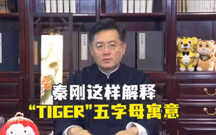 秦刚这样解释“TIGER”五字母寓意