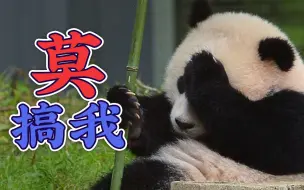 【南山见解】如何毁掉一个中国品牌？欧美资本最清楚