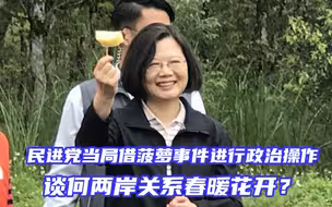 民进党当局借菠萝事件进行政治操作，谈何两岸关系春暖花开？