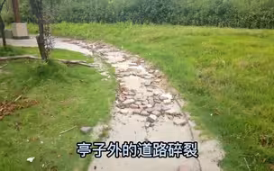 台风刮倒的树到现在还没扶？ 上海这些口袋公园“脏乱差”谁来管