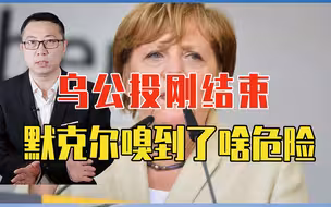 乌公投刚结束，默克尔嗅到了啥危险，罕见发声？核灾难一触即发？