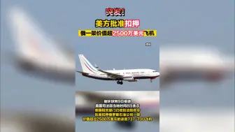 突发！美方批准扣押俄一架价值超2500万美元飞机