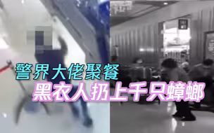 台湾警界高层聚餐 黑衣人扔下两大袋蟑螂 上千只“小强”满地乱窜