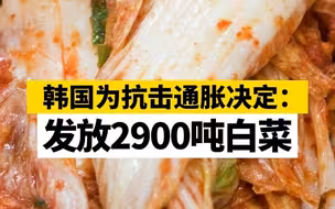 韩国为抗击通胀决定：发放2900吨白菜