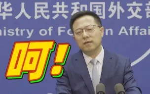 赵立坚用一声呵回应美方说辞：以大欺小的帽子美方自己先戴正了再说