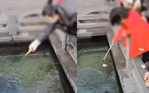 大爷自制工具带着孩子在趵突泉内吸钱币 网友：这样真的好吗？