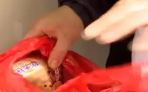外包装无破损！网购物品里钻出老鼠 还把人咬伤了