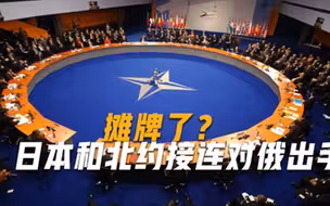 俄罗斯拉响警报，北约和日本接连撕下面具，专家局势或将失控