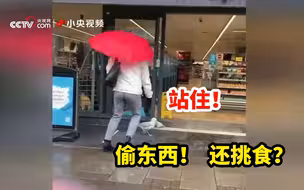 惯犯海鸥进商店偷东西 还挺挑食