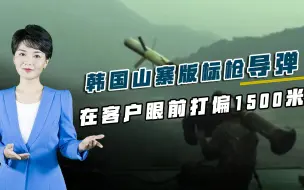 山寨版标枪打偏1500米，客户眼皮下丢光脸面，韩国制造沦为笑柄