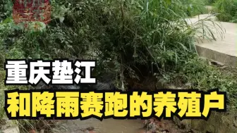 聚焦三农丨和降雨赛跑的养殖户