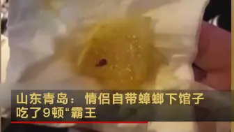 山东青岛：情侣自带蟑螂下馆子 吃了9顿“霸王餐”