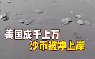 美国成千上万沙币被冲上岸 游客:从没见过这么多