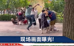 游客在北京动物园打架，院方：部分动物家庭模仿，场面一度失控