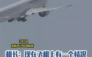 女子坐飞机想起没关燃气，机长联系签派辗转到物业，结果哭笑不得