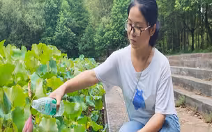 【子午线·视评1分钟】留守女生选考古专业没“钱”途？ 该反思的不是她