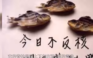 排放核废水入海到底有多可怕，日本政府看不到吗？