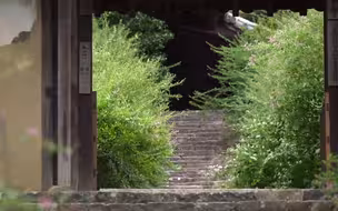 “帘外芭蕉惹骤雨，门环惹铜绿”