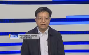 陈向阳：不许韩国填补市场缺口 暴露美将韩视为“产业敌人”真相