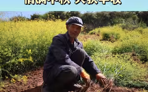 榆中县 情满中秋 共获丰收