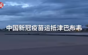 中国新冠疫苗运抵津巴布韦，津副总统奇温加到场迎接
