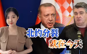 北约分裂指日可待？又一个国家公开唱反调：要惹普京，你们自己去