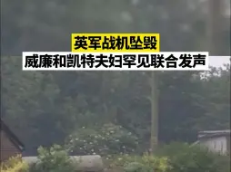 英军战机坠毁，威廉和凯特夫妇罕见联合发声