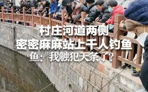 村庄河道两侧密密麻麻站上千人钓鱼 鱼：我触犯天条了？