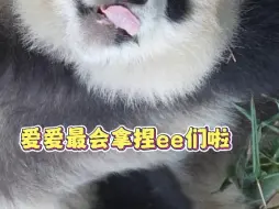宝宝熊咋这么可爱捏～