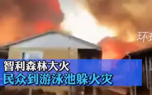智利森林大火，民众到游泳池躲火灾