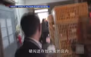美国旧金山唐人街家禽店被围攻 抗议者称不允许老板杀鸡