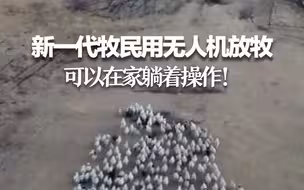 新一代牧民用无人机放牧 可以在家躺着操作！